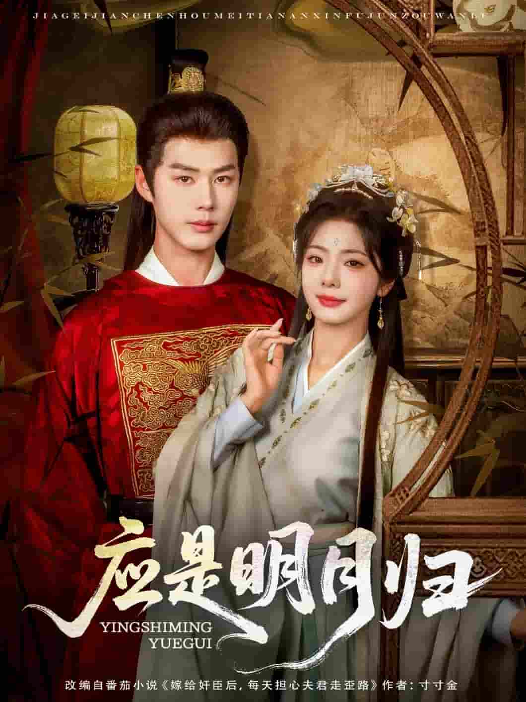 应是明月归(全集)