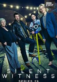 无声的证言 第二十九季(全集)