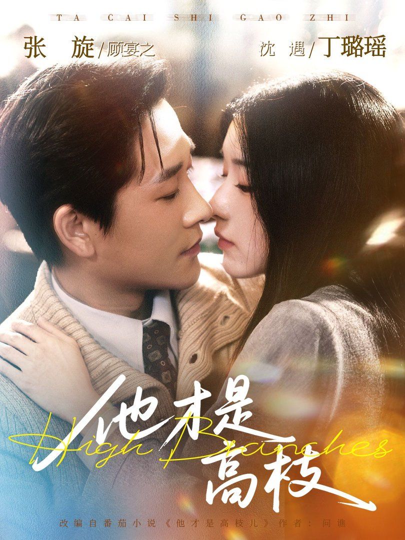 他才是高枝第01-30集